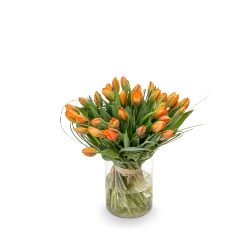 Kytice  tulipánů
